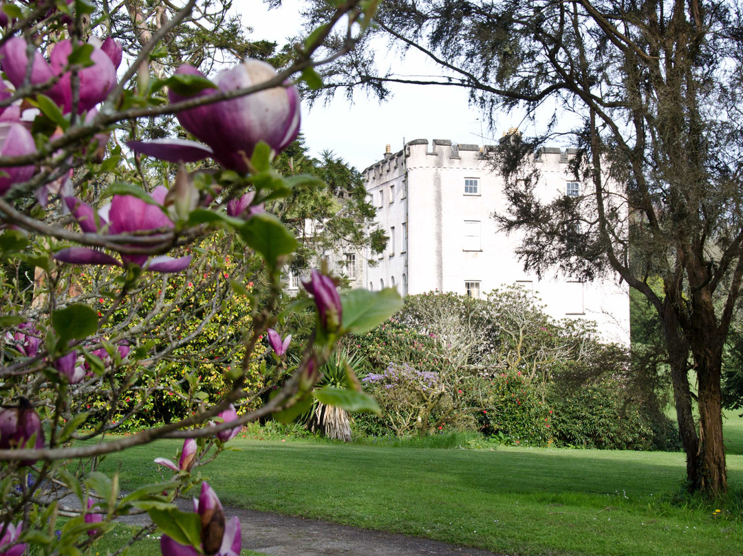 Picton Castle Gardens