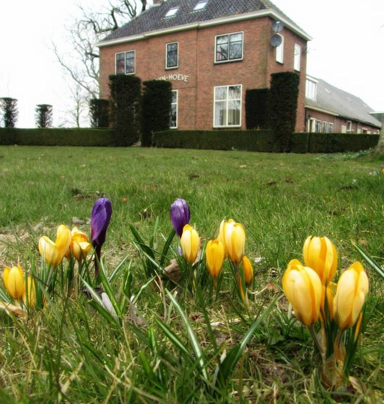 Rijnhoeve