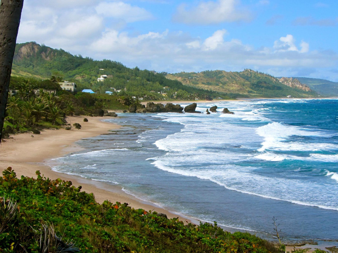 Bathsheba旅游攻略图片