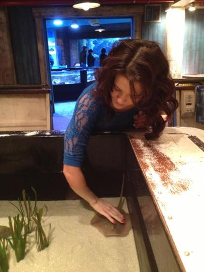 艾默理大学-亚特兰大必去景点