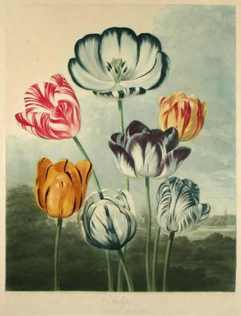 Tam O'Neill Fine Arts Gallery-丹佛必去景点