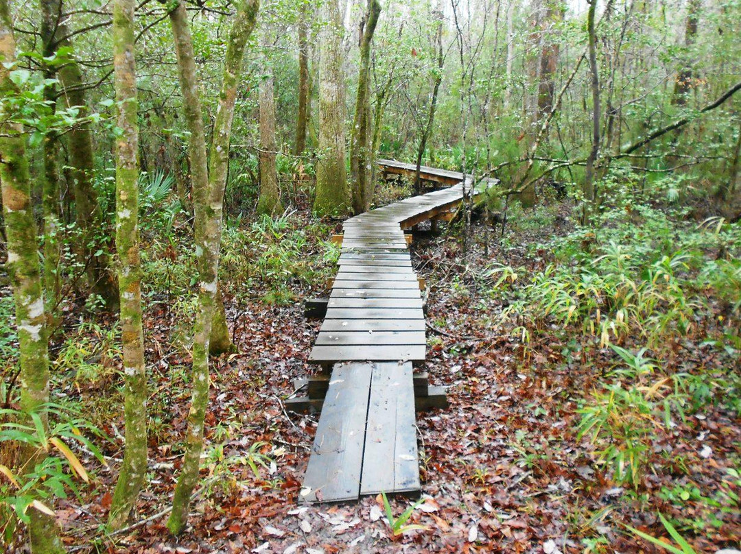Pine Cliffs Recreation Area - Neusiok Trail景点图片