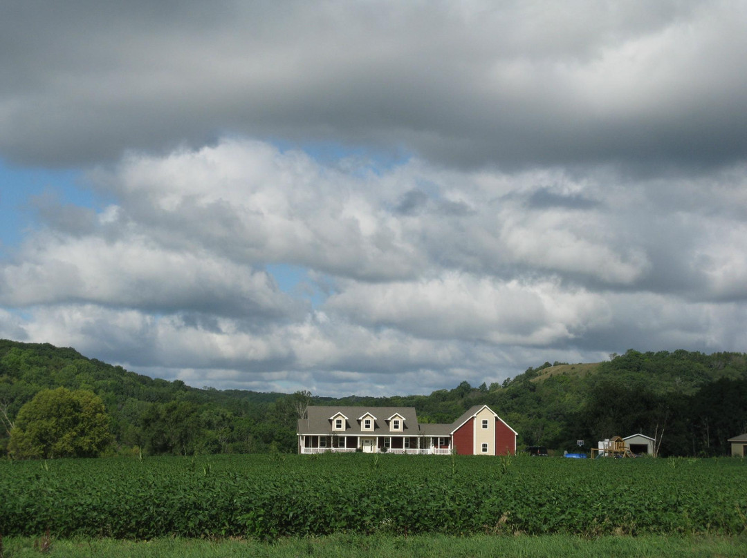 Bel-Aire Motel主图