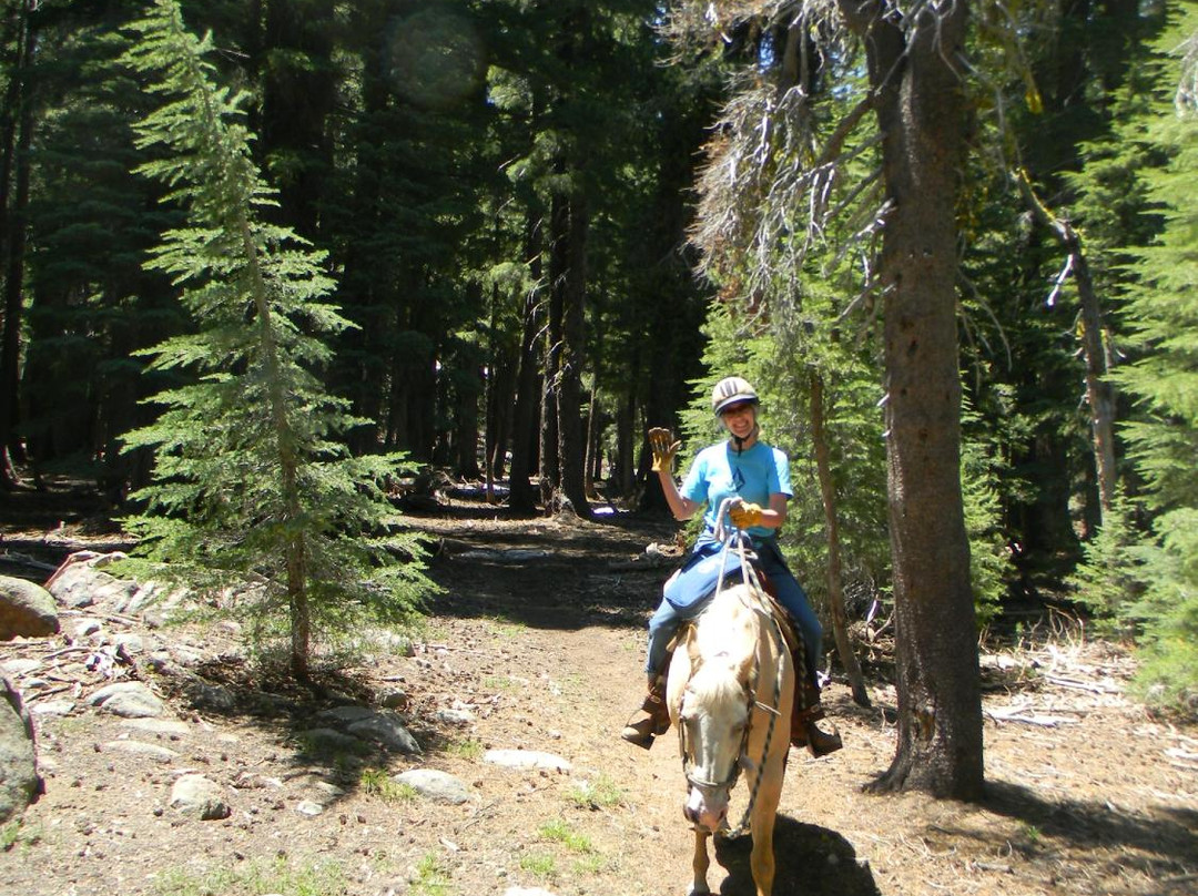 Sheridan Creek Equestrian Center-Gardnerville必去景点