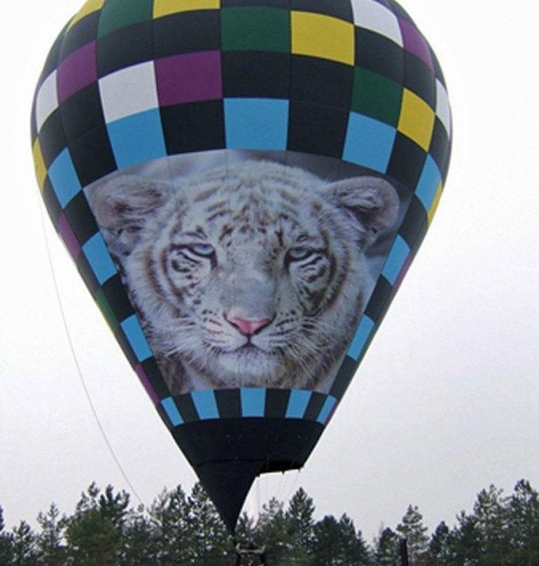 Skyway Balloons-Collinsville必去景点