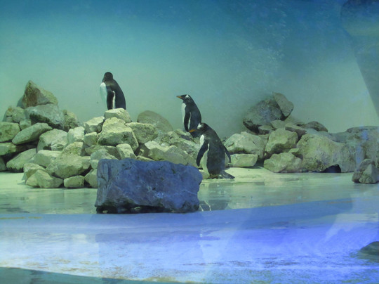 慕尼黑动物园-慕尼黑必去景点