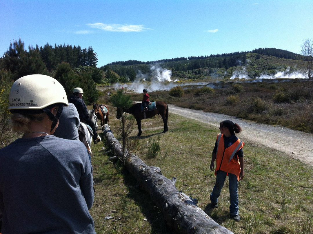 Taupo Horse Treks景点图片