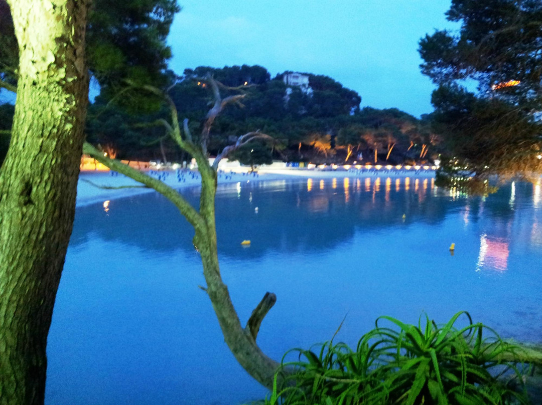 Cala Mitjana-Cala Galdana必去景点