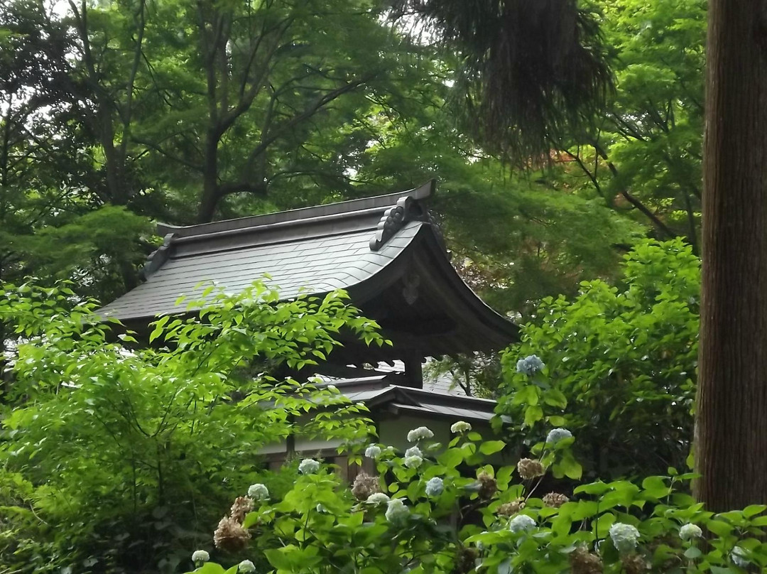 Iwawakidera Temple景点图片