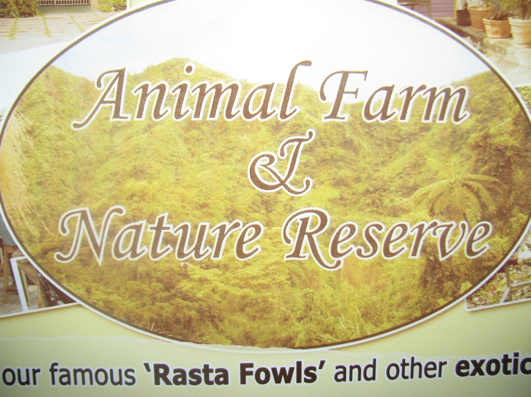 Animal Farm & Nature Reserve-蒙特戈贝必去景点