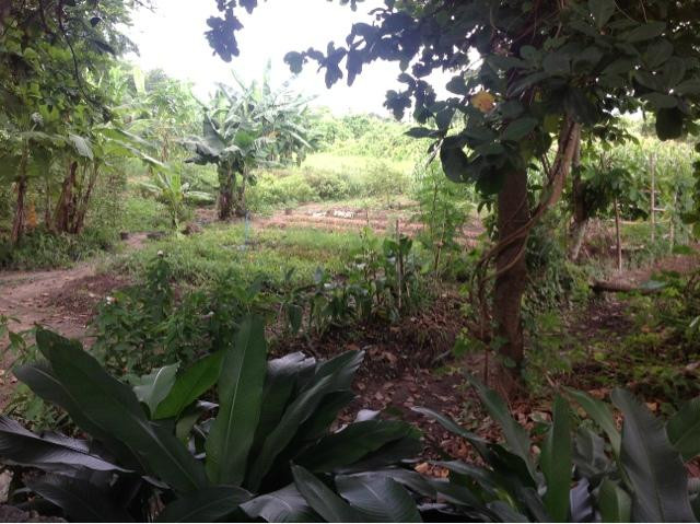 最佳泰式烹饪学校-清迈必去景点