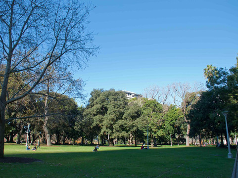 海德公园-悉尼必去景点