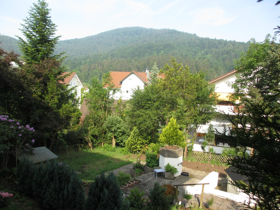 Hotel Sonnenhof garni主图