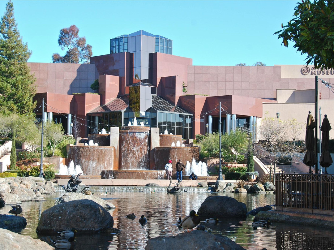 Blackhawk Museum-丹维尔必去景点