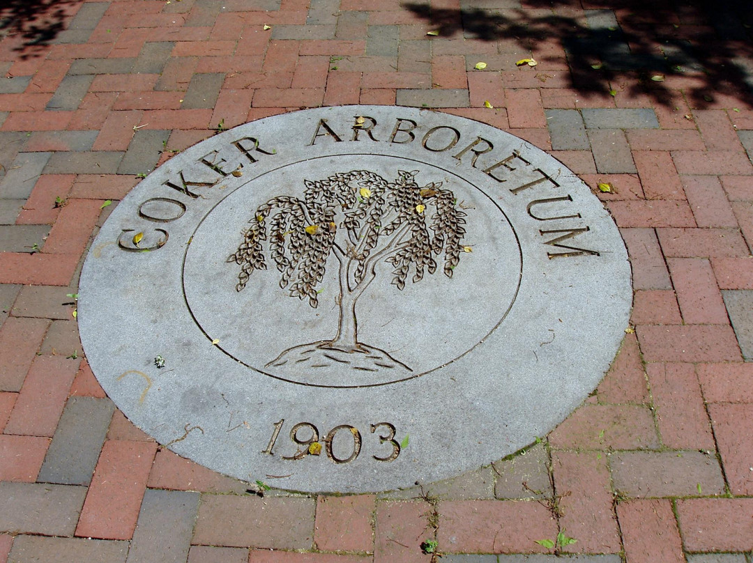 Coker Arboretum-教堂山必去景点