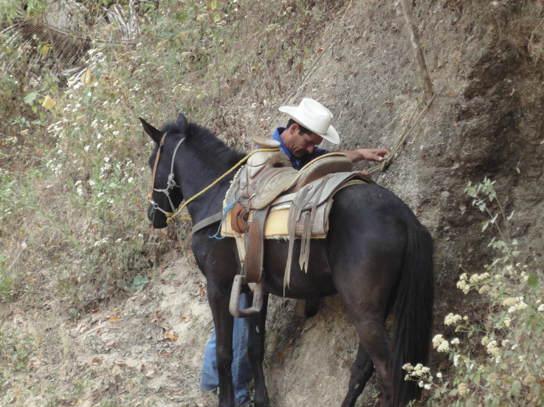 Rancho Lopez-Mismaloya必去景点
