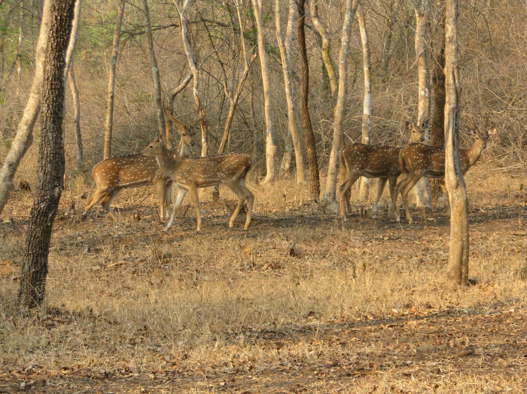 BRT Wildlife Sanctuary景点图片
