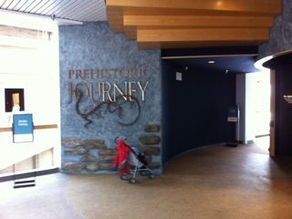 丹佛自然科学博物馆-丹佛必去景点