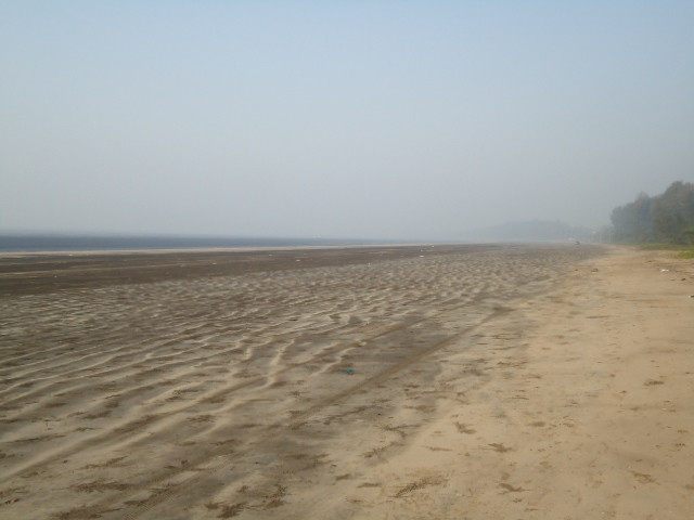 MTDC