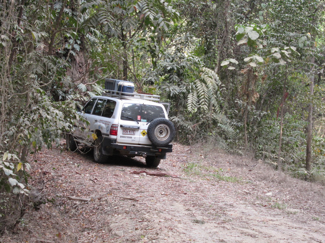 Mason's Tours-Cape Tribulation必去景点