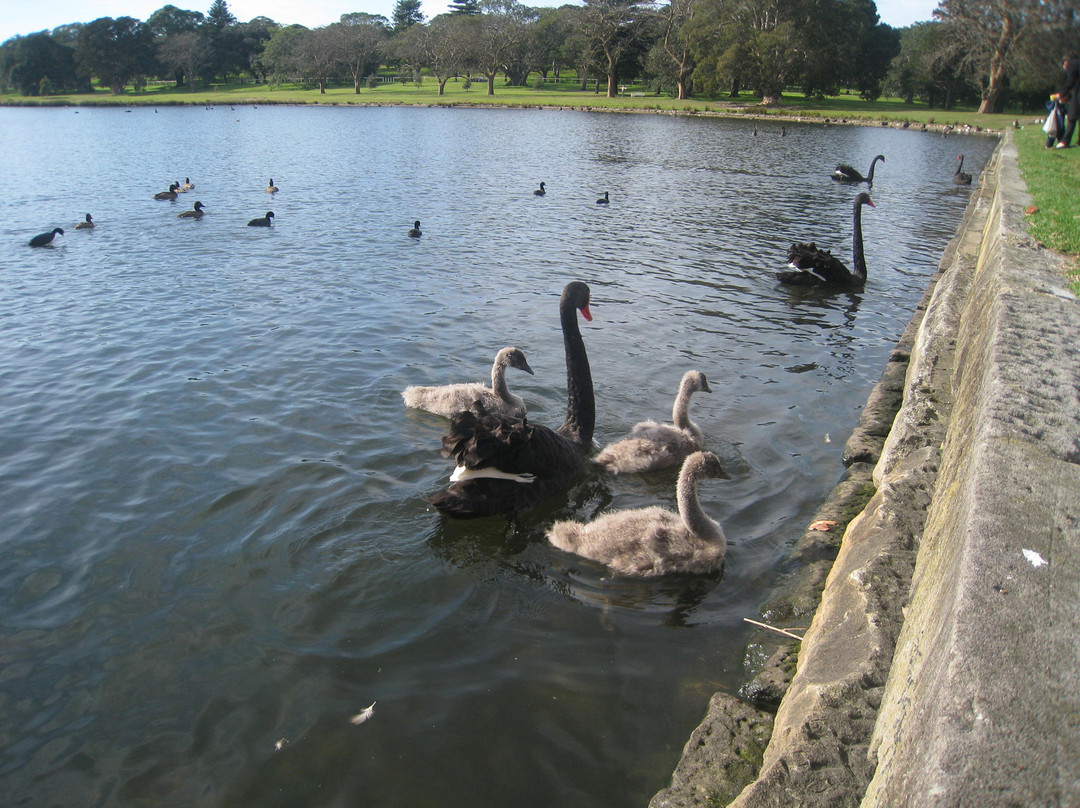 悉尼世纪公园-悉尼必去景点