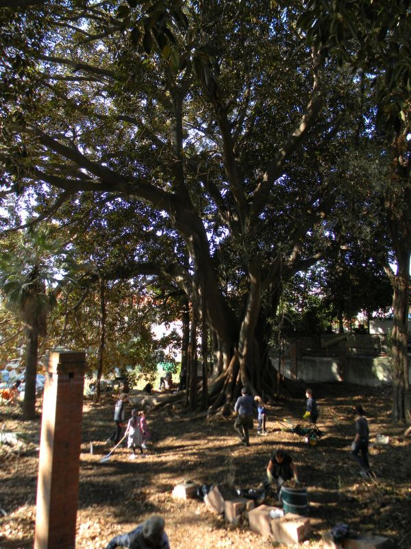 Museo Bicknell-博尔迪盖拉必去景点