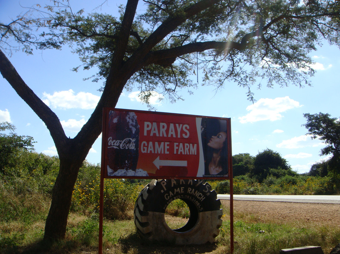 Parays Game Ranch-卢萨卡必去景点
