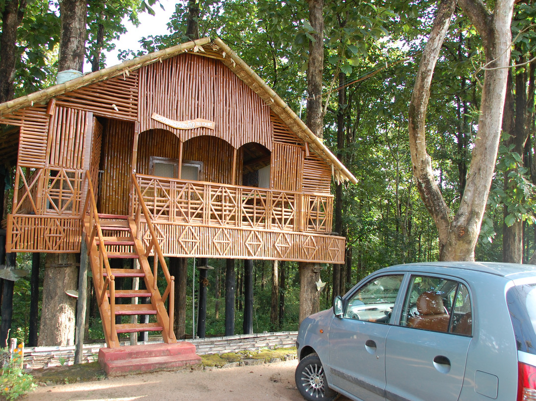 Parambikulam Jungle Camps