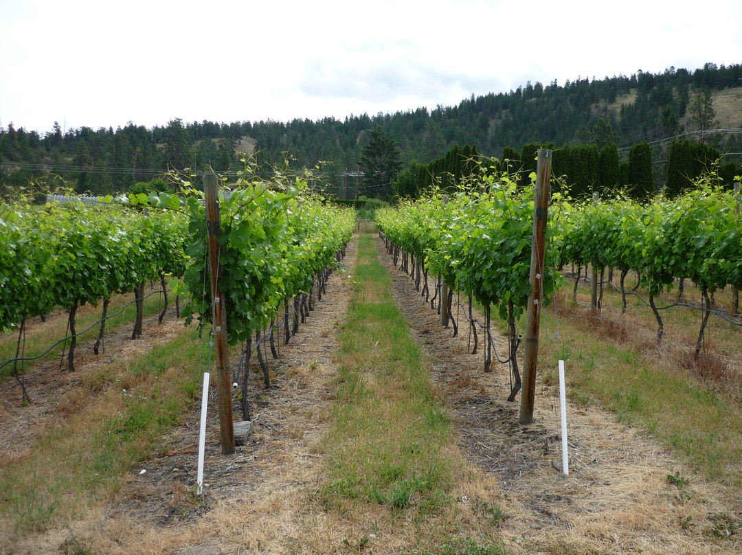 La Frenz Winery景点图片