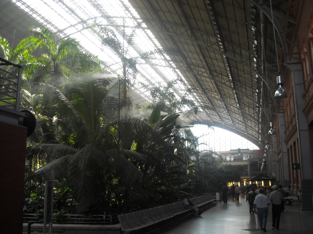 阿托查火车站-马德里必去景点