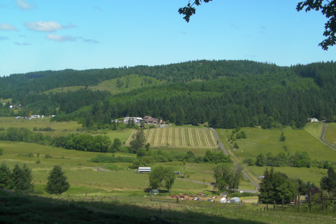 Sweet Cheeks Winery-尤金必去景点