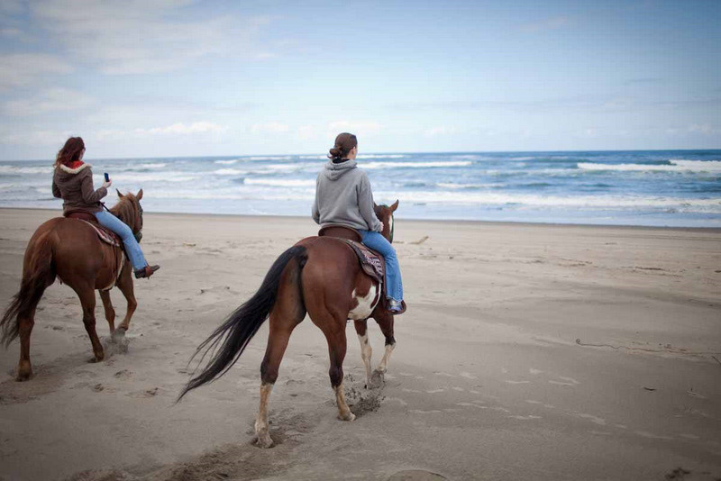 Green Acres Beach & Trail Rides-太平洋城必去景点