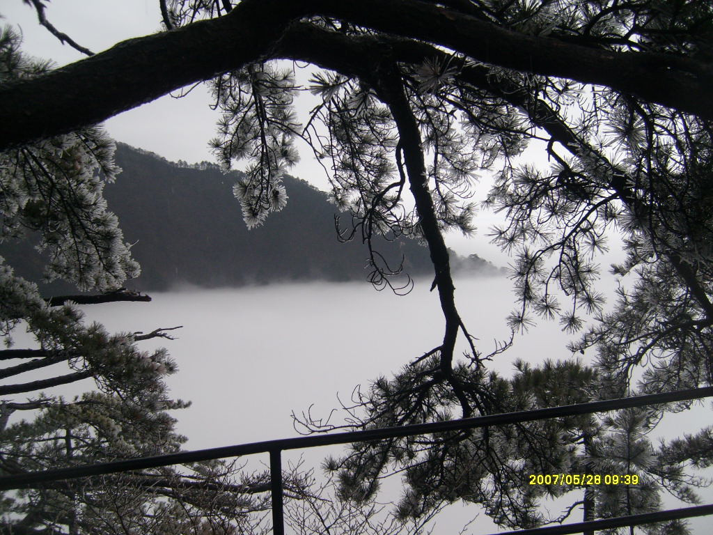 天堂寨国家森林公园-金寨县必去景点