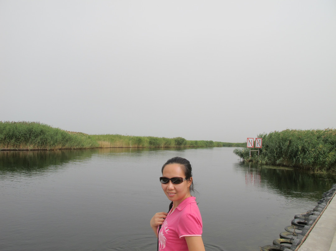 库尔勒莲花湖景点图片