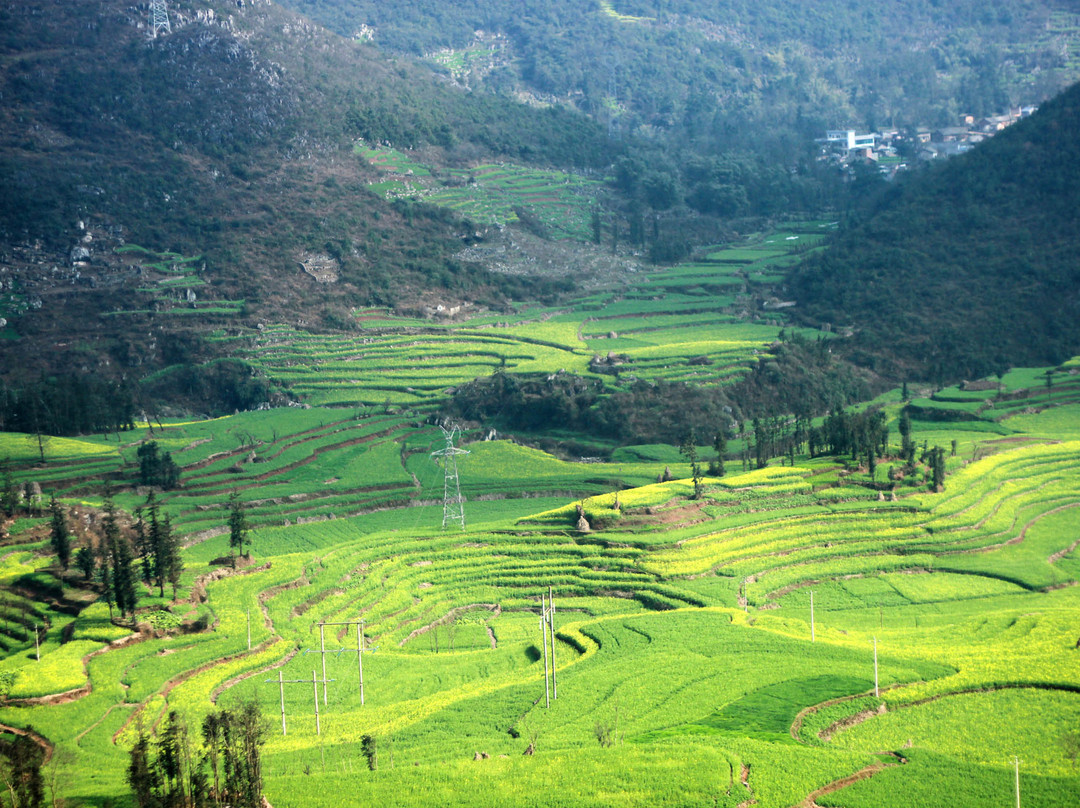 罗平螺丝田-罗平县必去景点