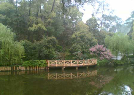 南山植物园景点图片