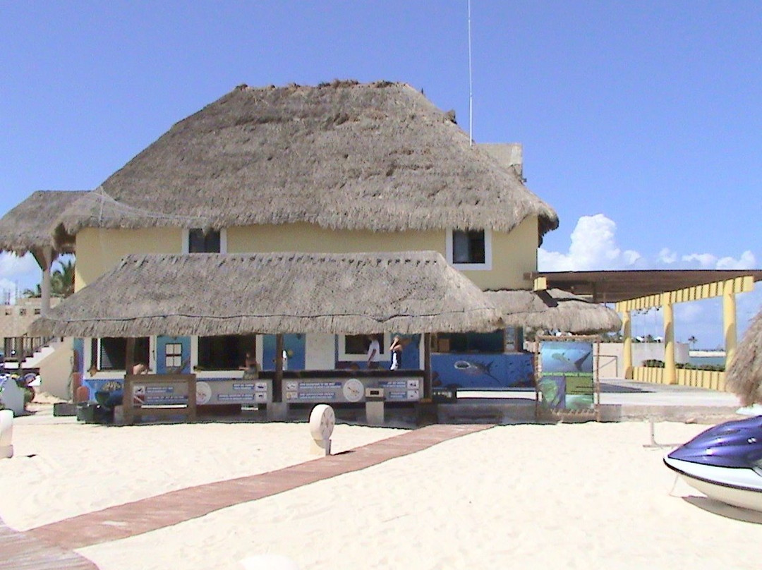 Dressel Divers Playa Paraiso-普拉亚德尔卡曼必去景点