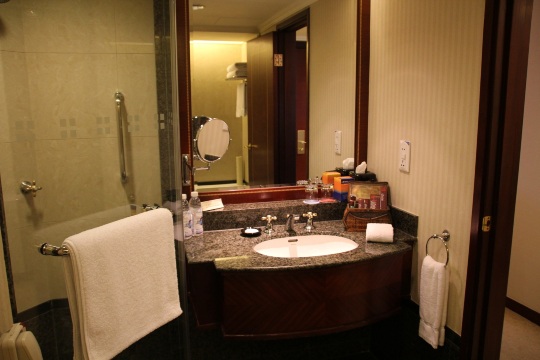 成都天府丽都喜来登饭店（天府广场店）-浴室