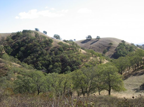 Mount Diablo State Park - Mitchell Canyon Visitor Center-Clayton必去景点