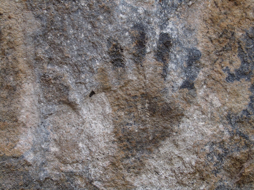 Blackfellows Hand Cave-利特高必去景点