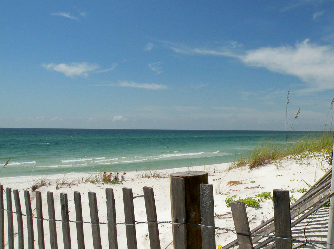 Grayton Beach State Park景点图片