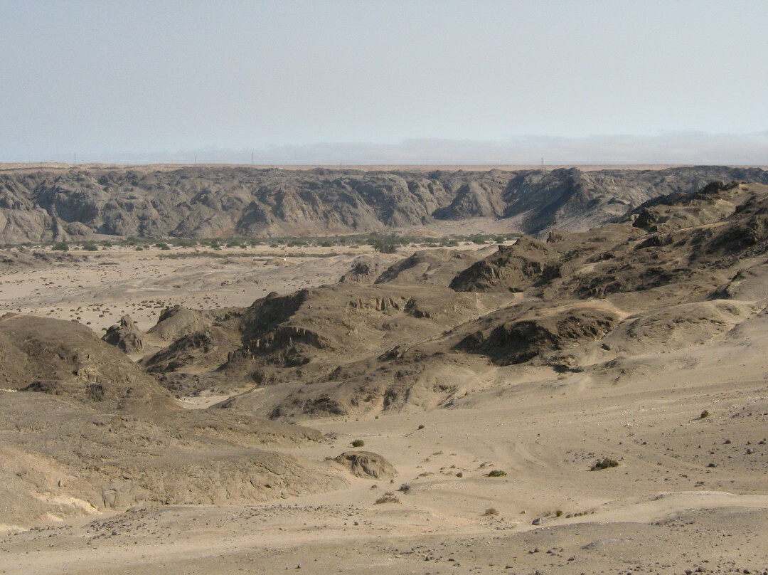 Living Desert Adventures景点图片