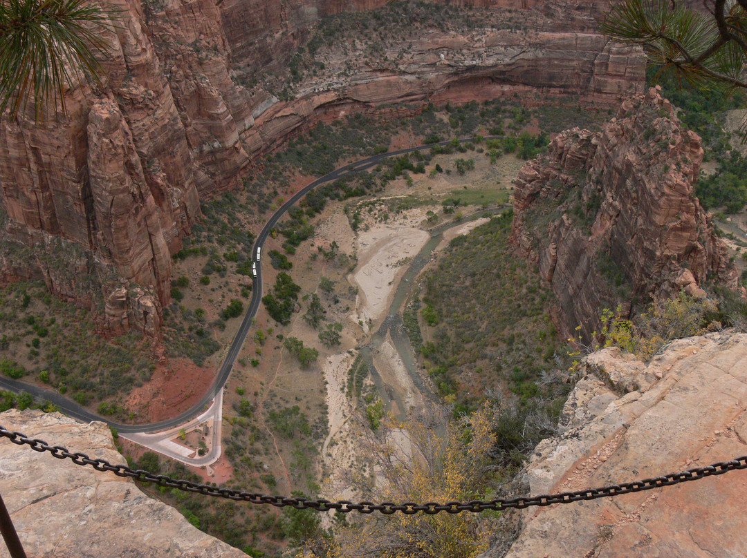 Zion's Main Canyon景点图片