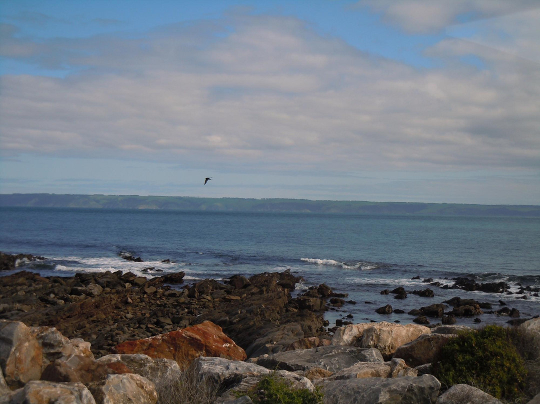 Kangaroo Island Transfers景点图片