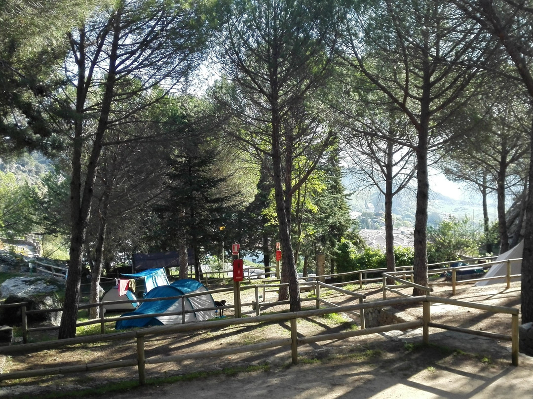 Camping Tajo Rodillo