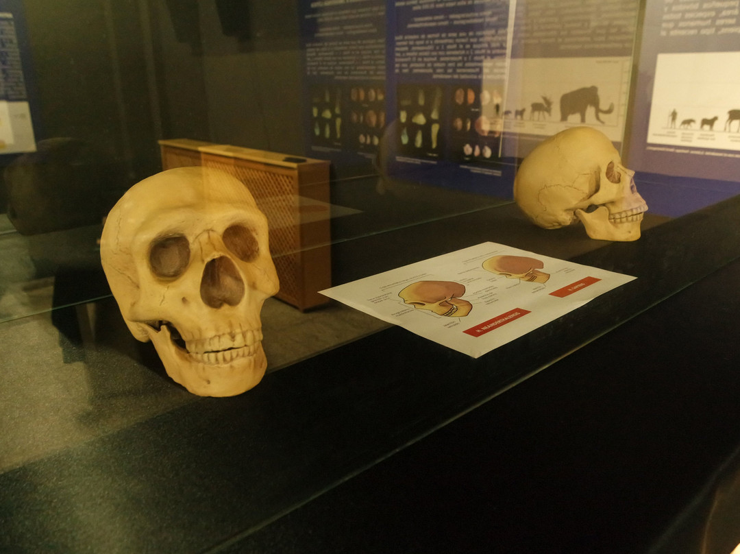 Centro de Interpretación del Paleolítico景点图片