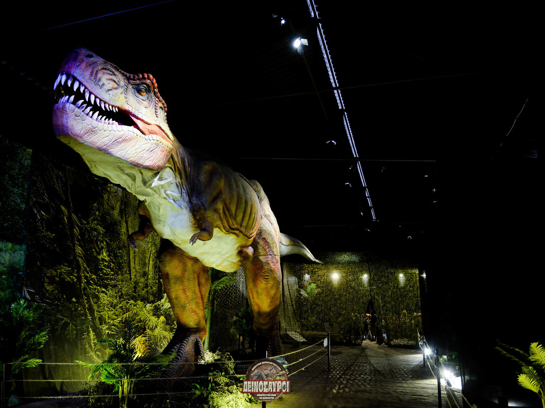 Theme Park and Dinosaurs Museum景点图片