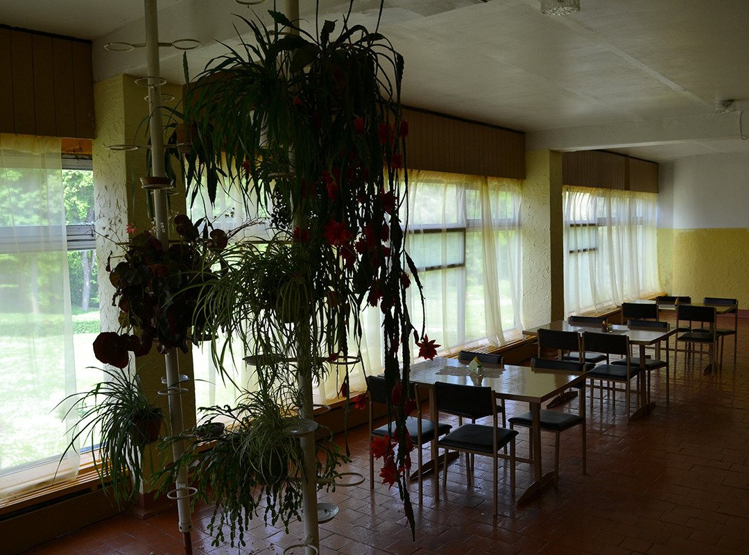Cafeteria "Juna-1"