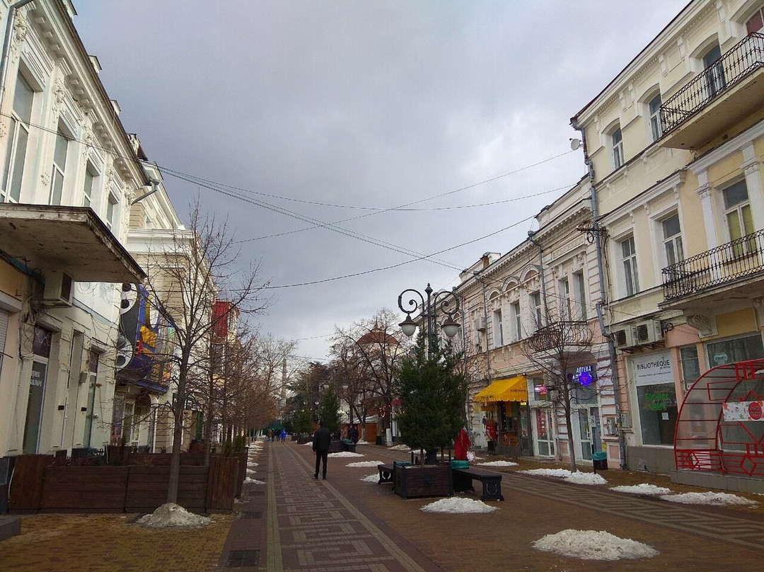 Semerdzhiyev 's House景点图片