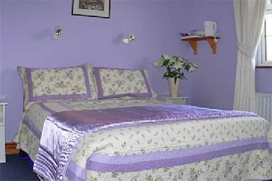 Riverwalk House B&B-官方